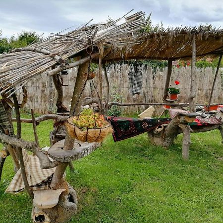 شقة Casa Mirandre Haţeg المظهر الخارجي الصورة